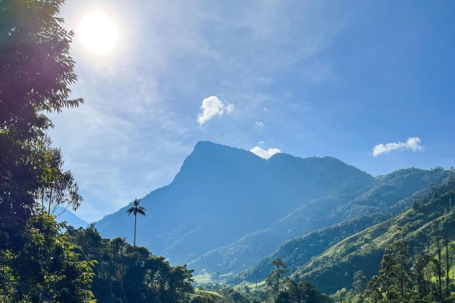 Expedición Morrogacho, Conquista la Cima del Cocora