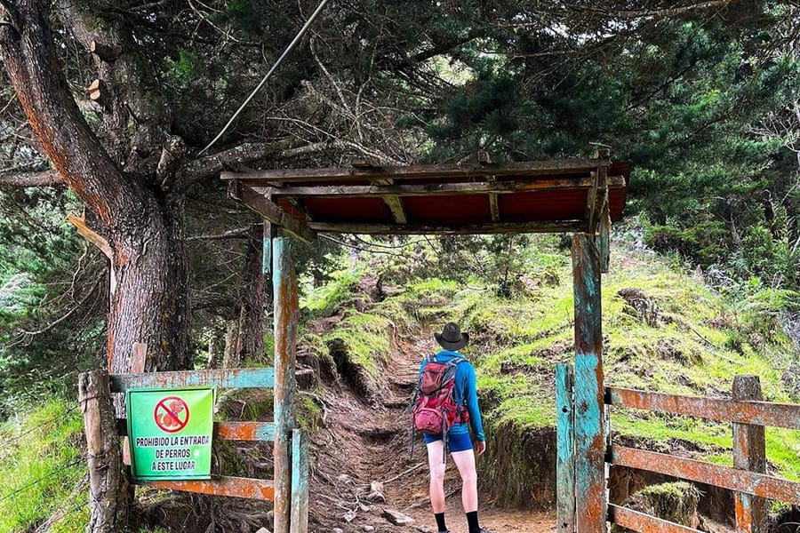 Expedición Morrogacho, Conquista la Cima del Cocora