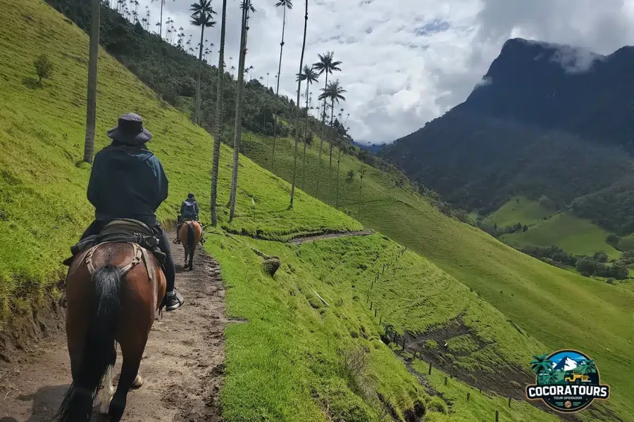 Cabalgata mirador dos y rio Valle del Cocora