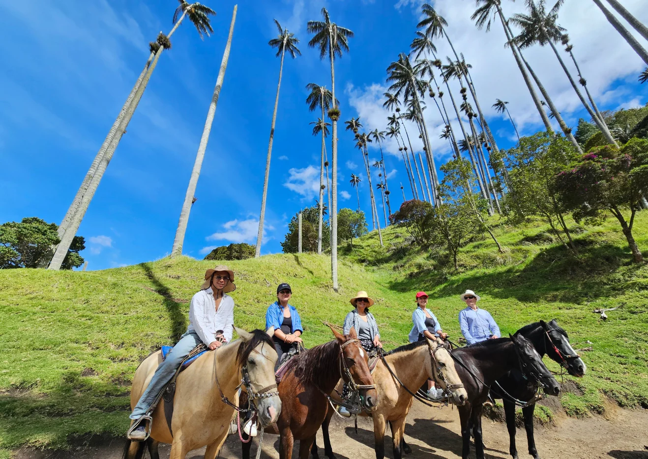 Cabalgata Cocora Mirador dos, uno y rio