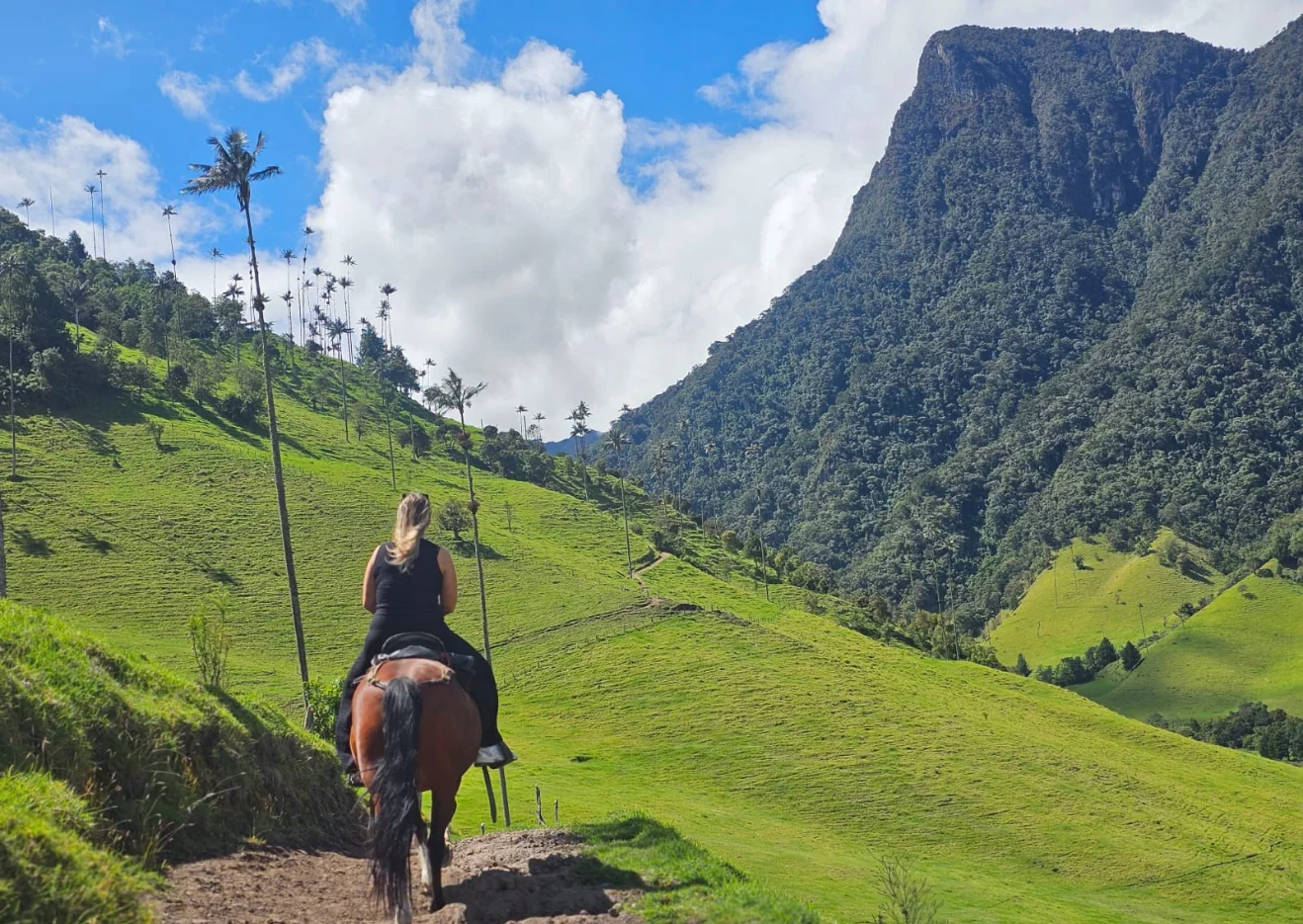 Cabalgata Cocora Mirador dos, uno y rio