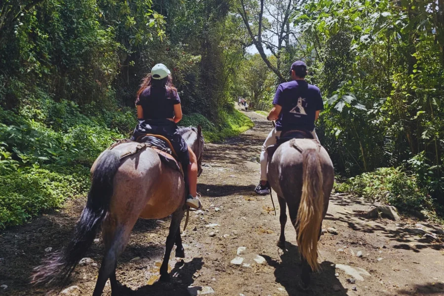 Cabalgata rio y mirador dos solo ida regresas caminando