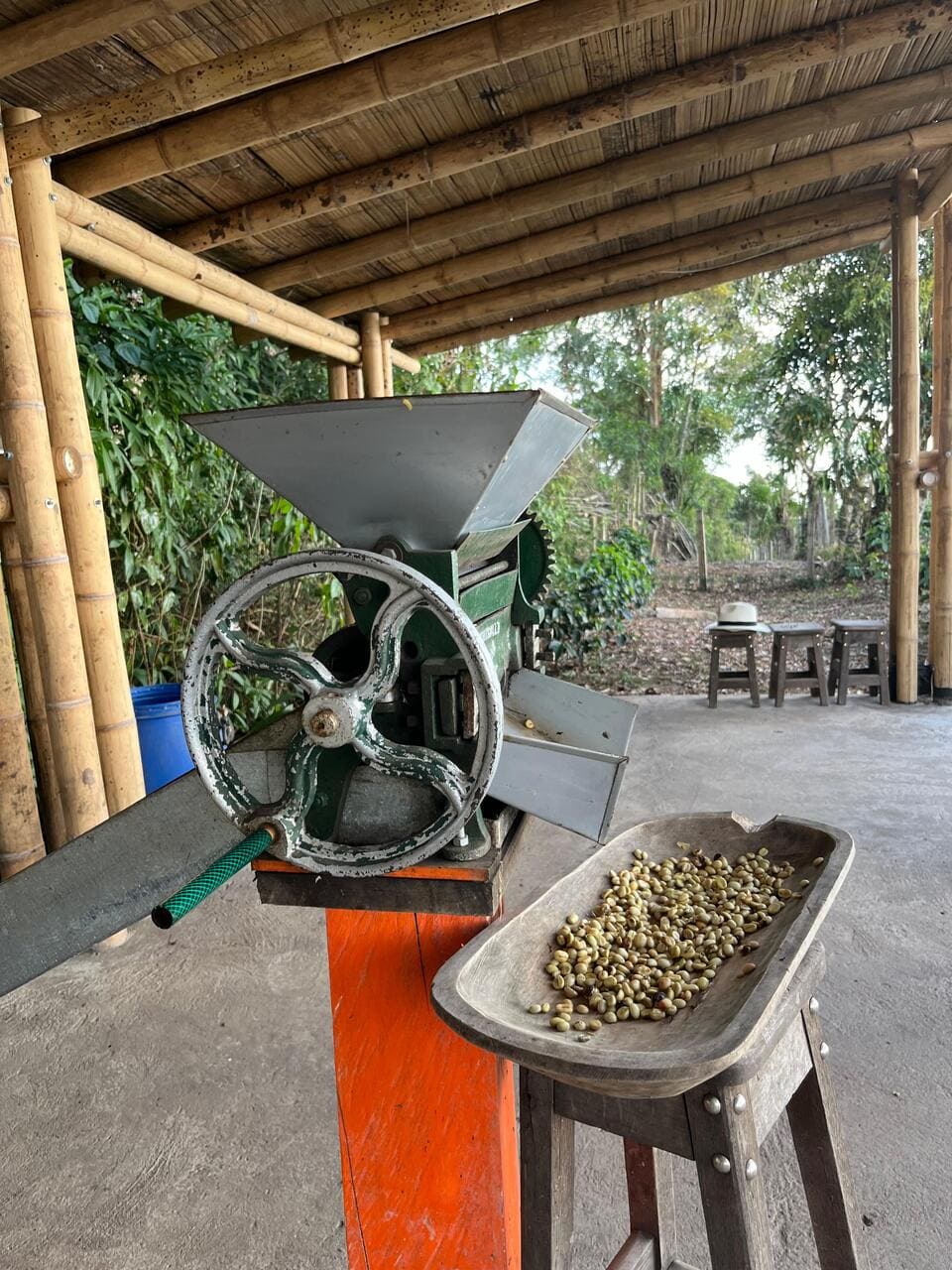 Cabalgata por las fincas cafeteras con tour del café
