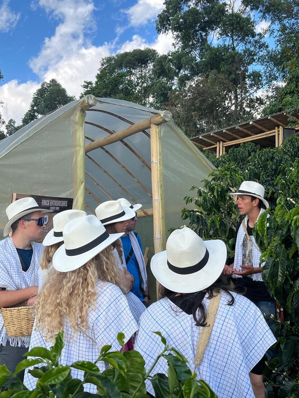 Cabalgata por las fincas cafeteras con tour del café