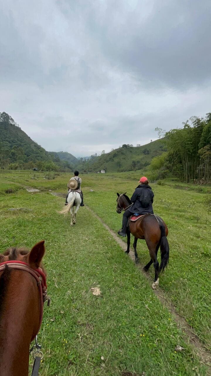 Cabalgata por las fincas cafeteras con tour del café