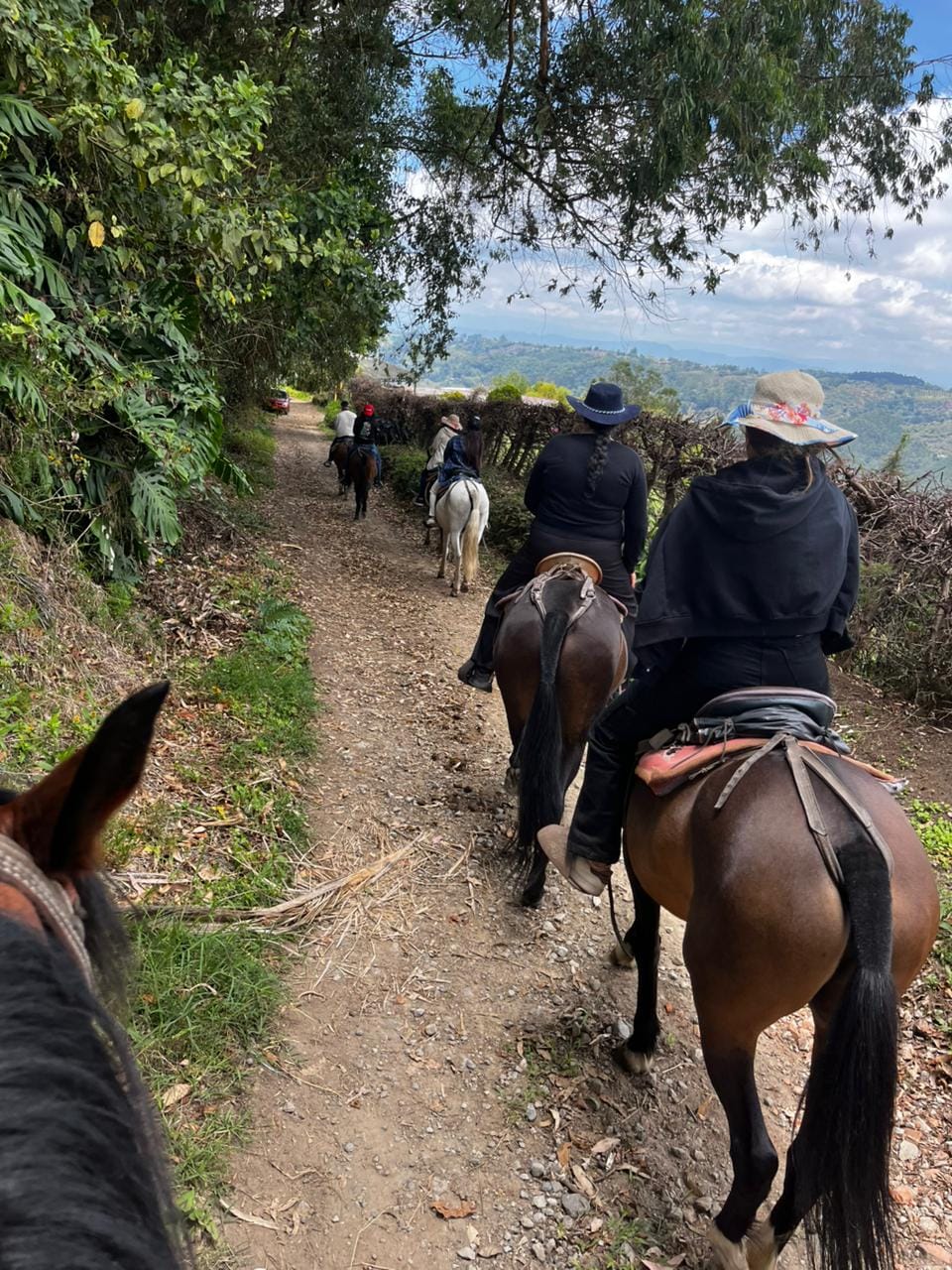 Cabalgata por las fincas cafeteras con tour del café