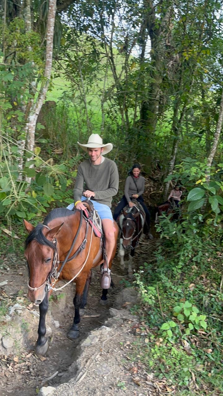 Cabalgata por las fincas cafeteras con tour del café