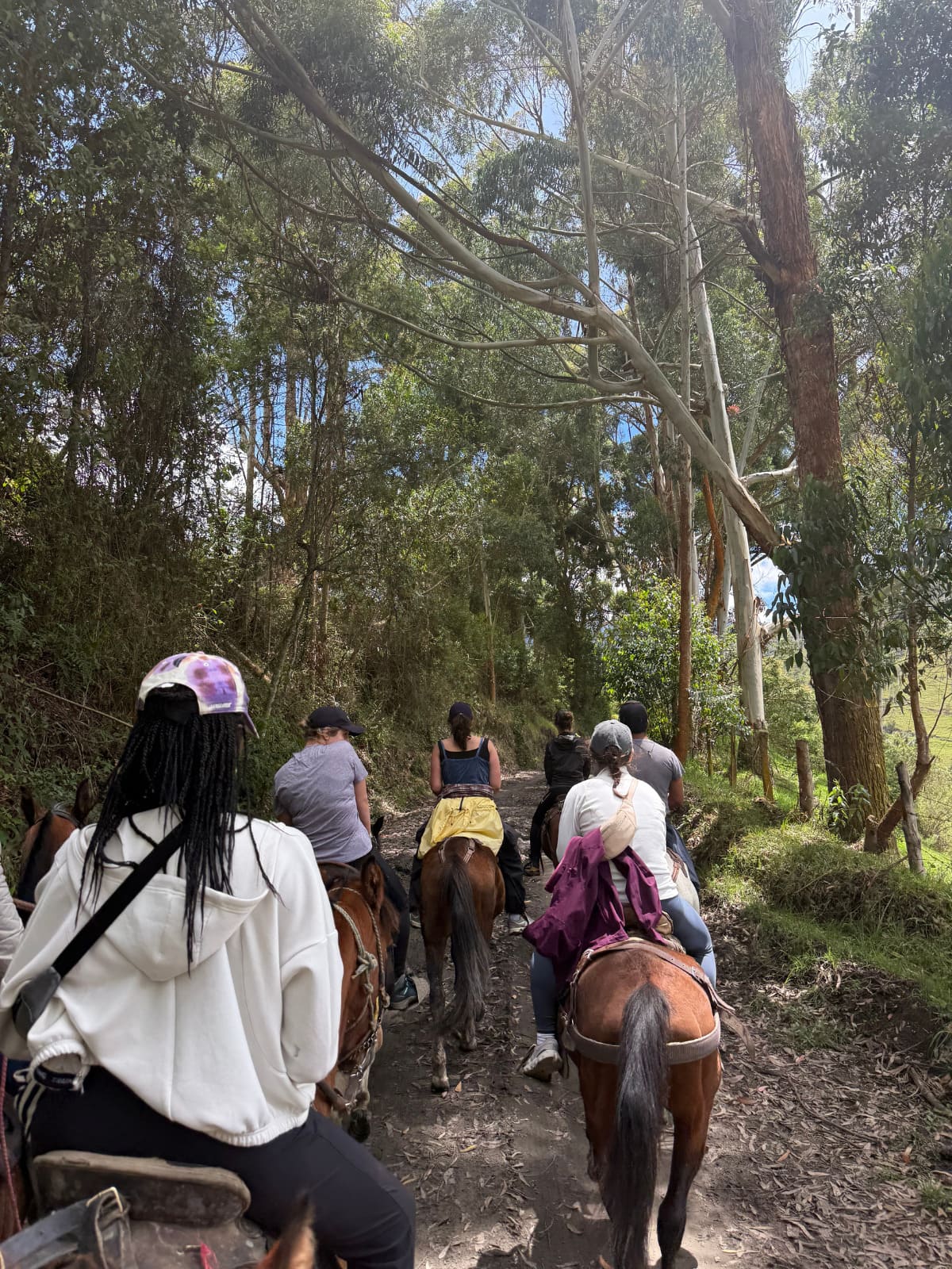 Cabalgata la Carbonera Tolima desde Salento