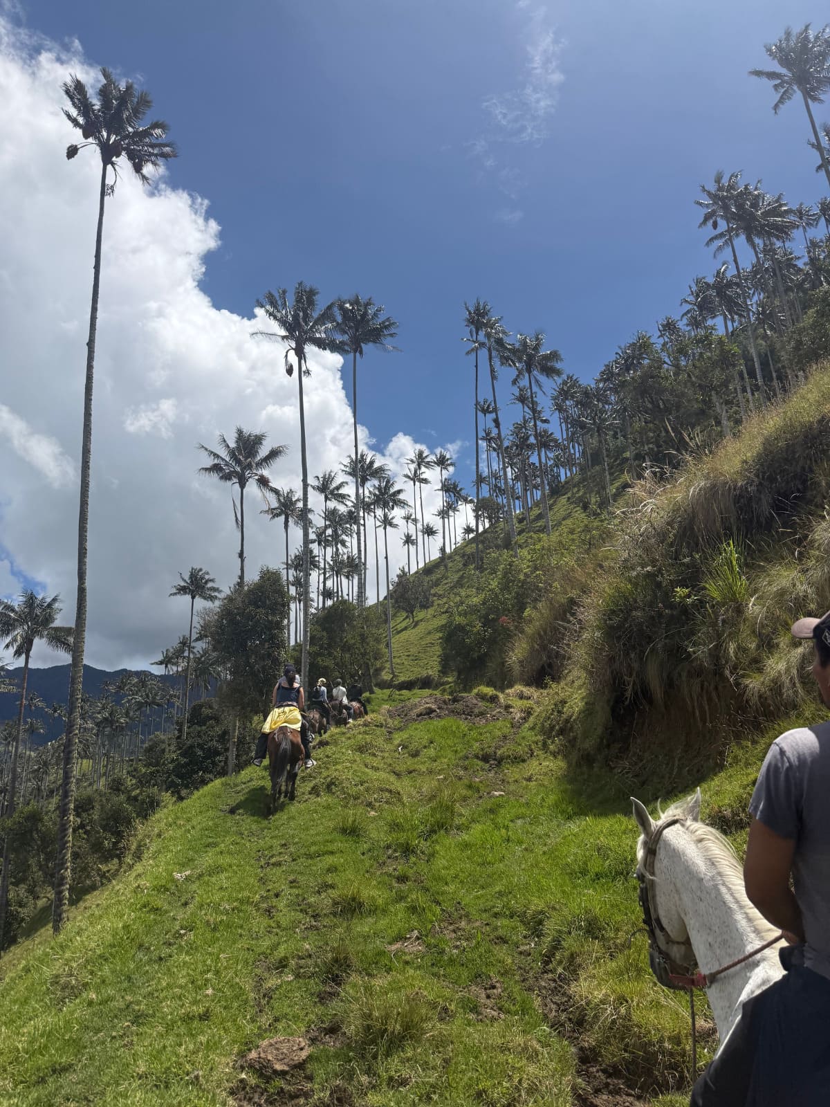 Cabalgata la Carbonera Tolima desde Salento