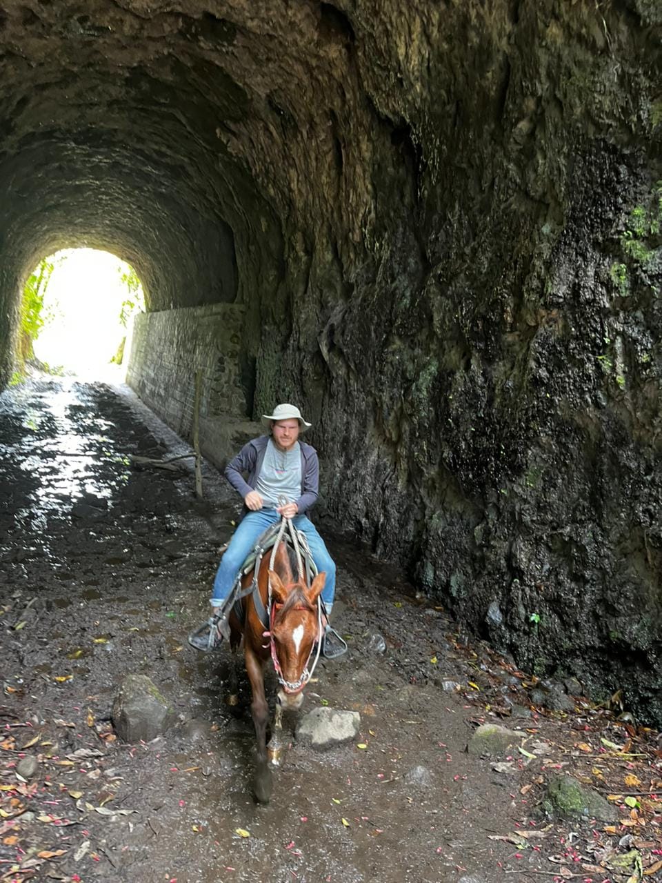 Cabalgata a los Bosques Mágicos y Cascada Santa Rita