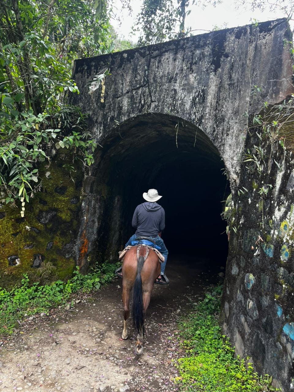 Cabalgata a los Bosques Mágicos y Cascada Santa Rita
