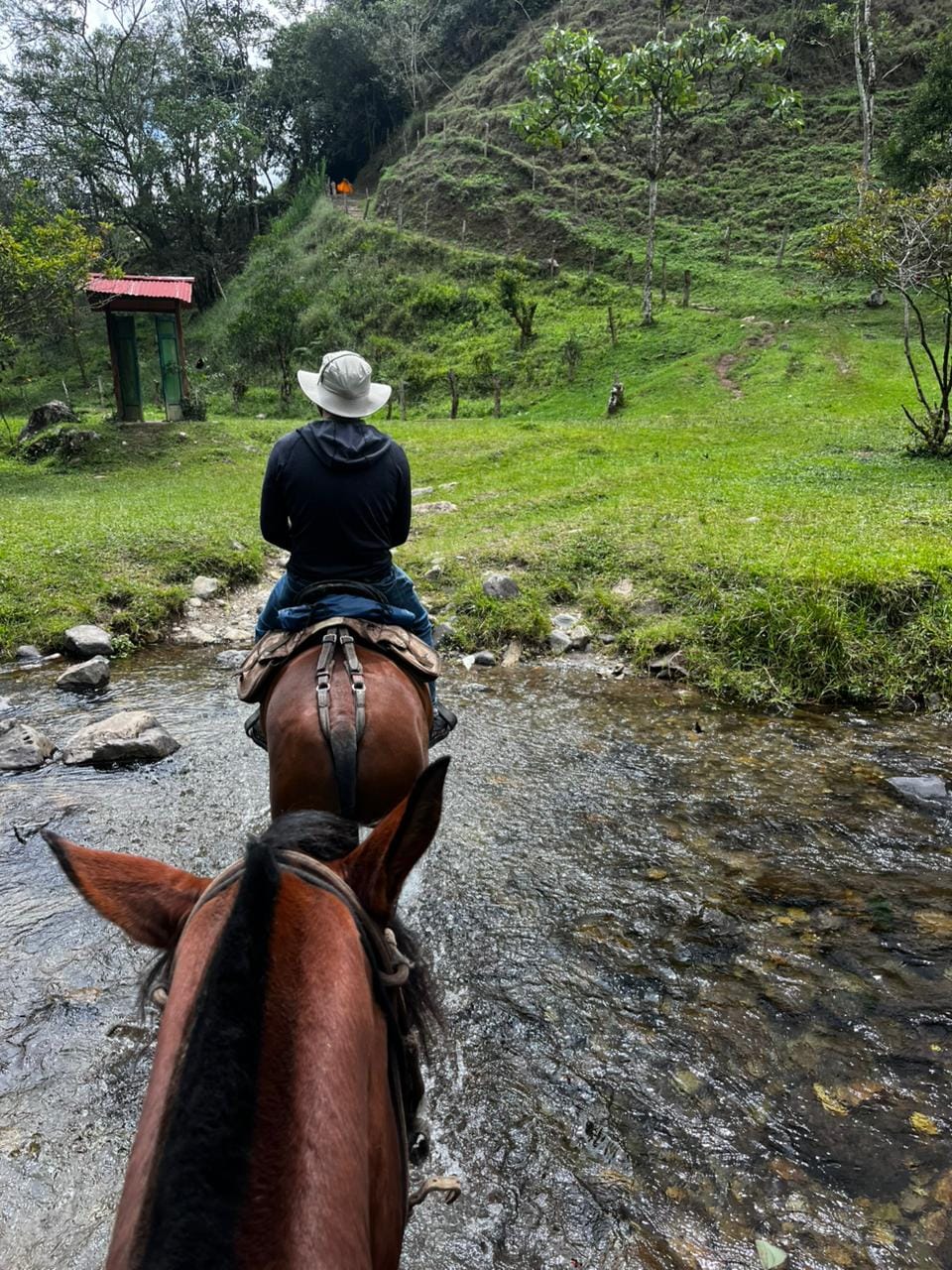 Cabalgata a los Bosques Mágicos y Cascada Santa Rita