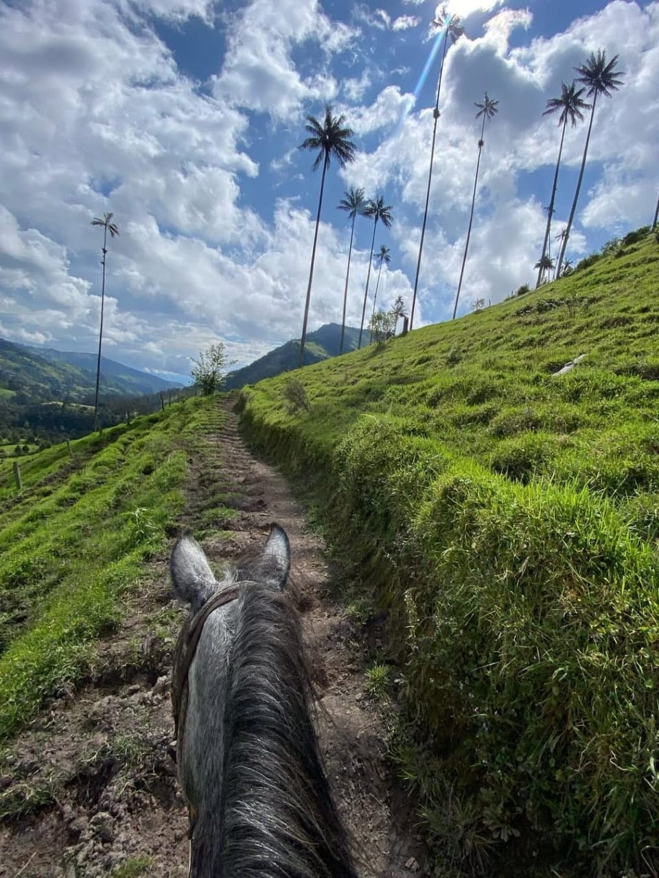 Cabalgata rio y mirador dos solo ida regresas caminando