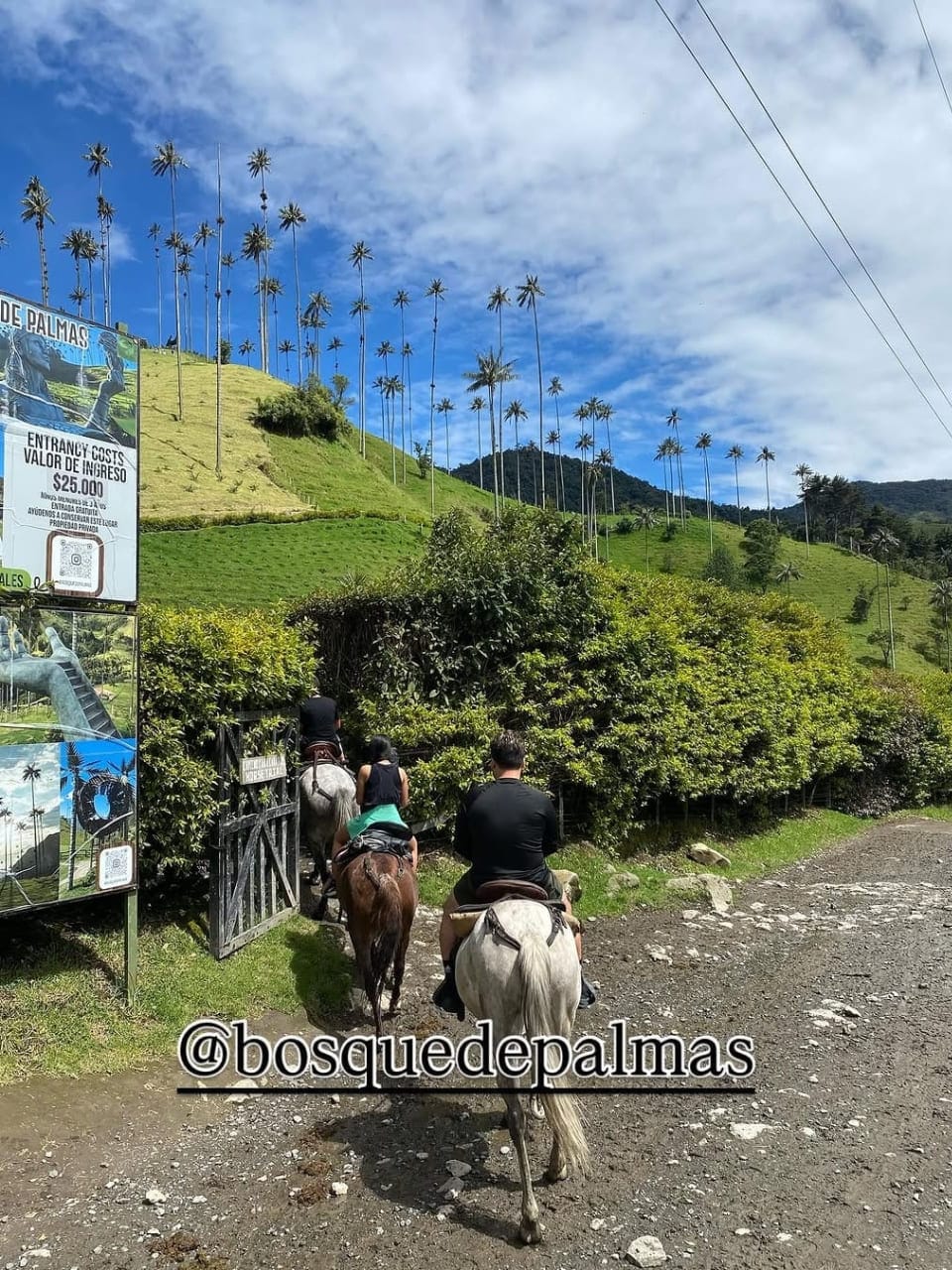 Cabalgata rio y mirador dos solo ida regresas caminando