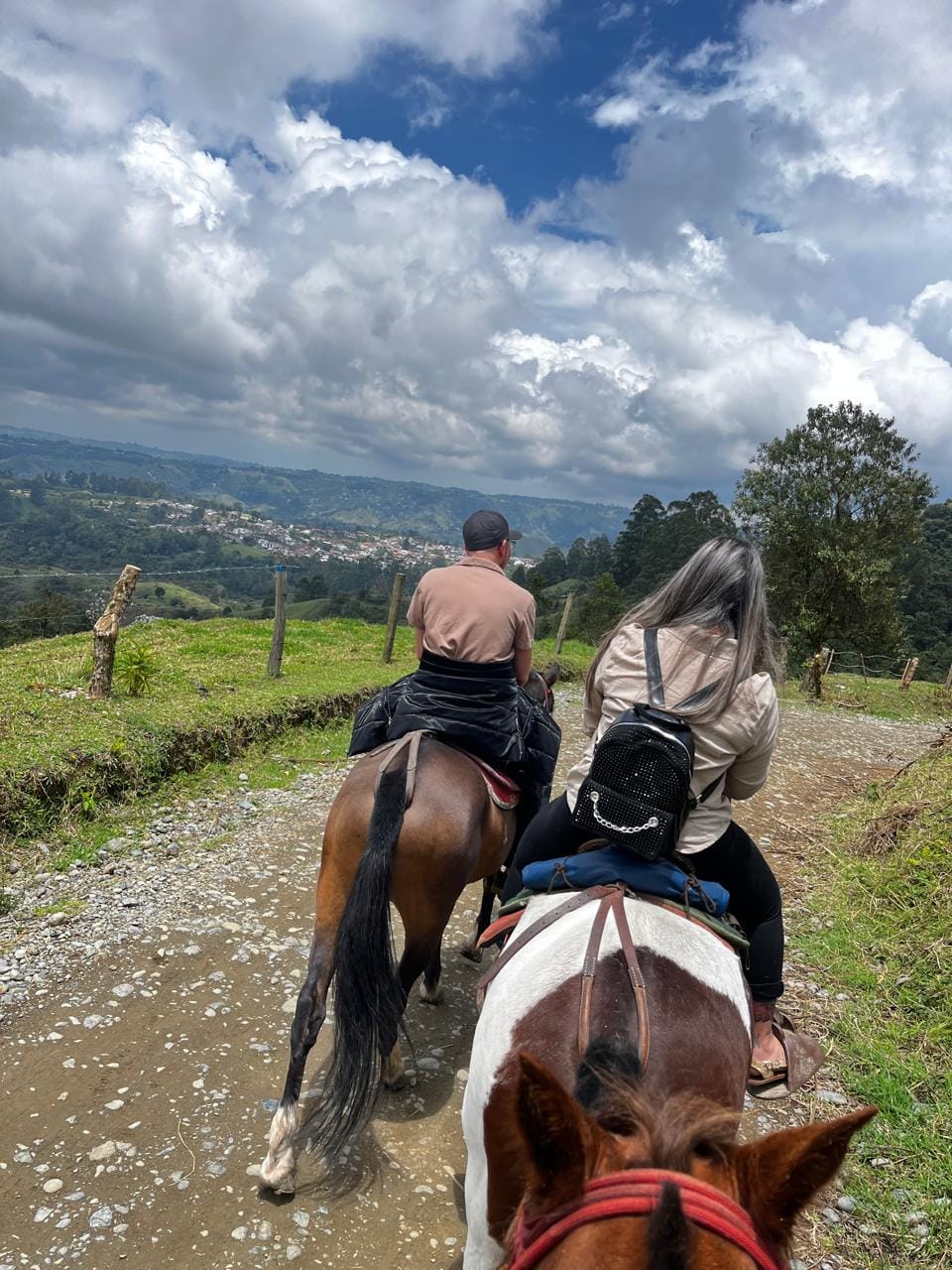 Cabalgata miradores y la cascada de sestillal Salento