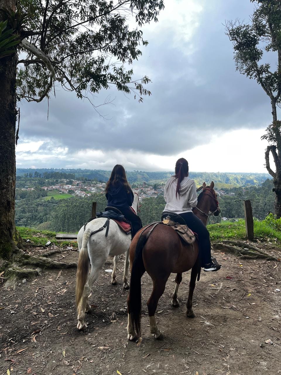 Cabalgata mirador Salento Quindío el mocambo