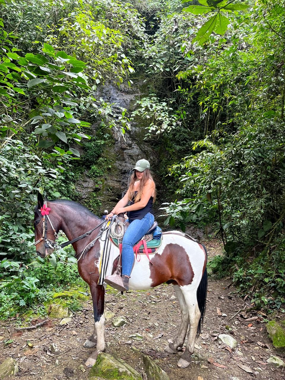 Cabalgata miradores y la cascada de sestillal Salento
