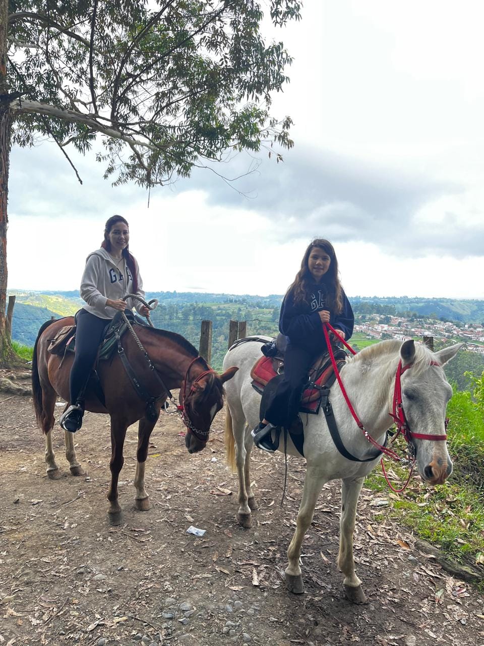 Cabalgata mirador Salento Quindío el mocambo