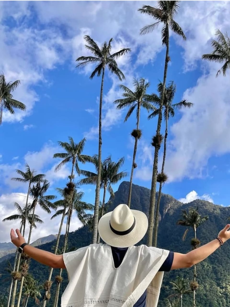 Plan con hospedaje Valle del Cocora y Salento Quindío