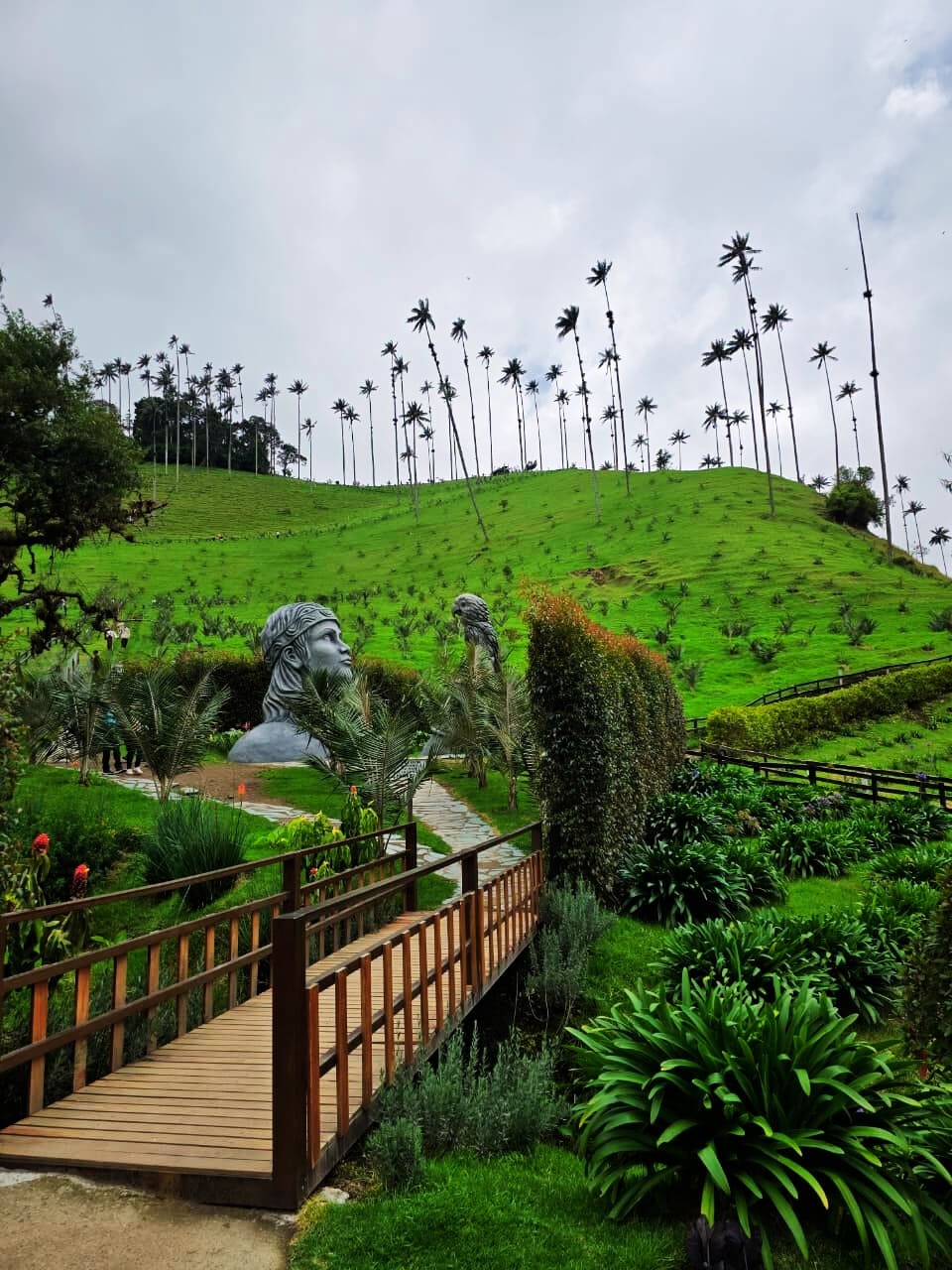 Plan con hospedaje Valle del Cocora y Salento Quindío