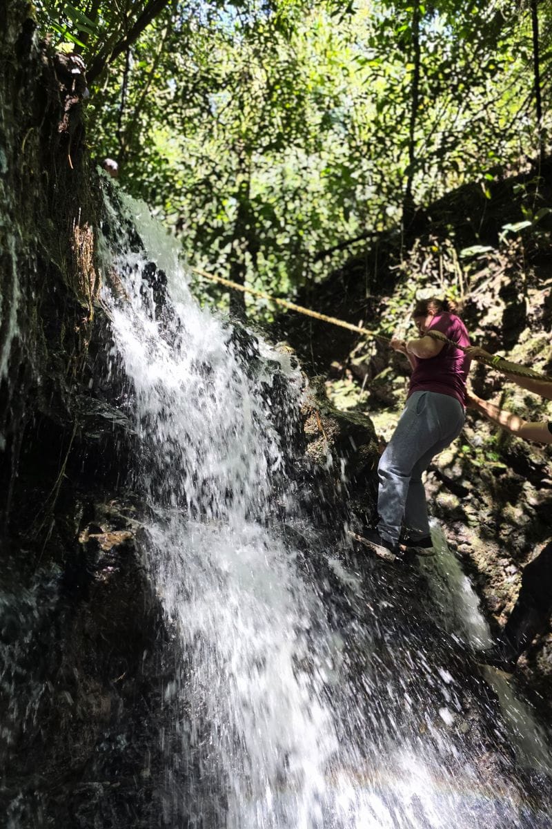 Reserva Kasaguadua: Inmersión en Bosque de Niebla, Cañonismo y Cuna de la Palma de Cera