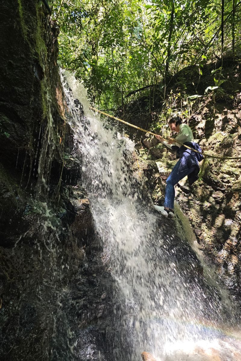 Reserva Kasaguadua: Inmersión en Bosque de Niebla, Cañonismo y Cuna de la Palma de Cera