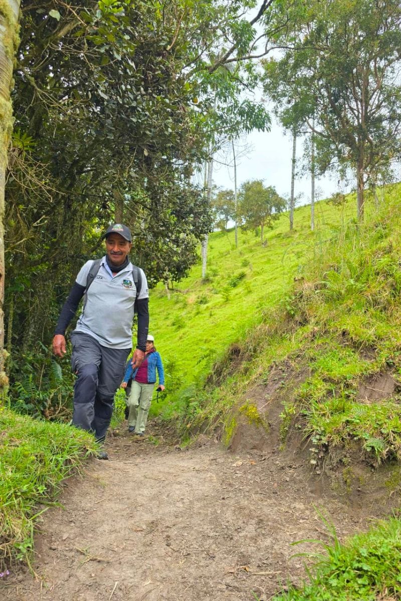 Tour tradicional la Carbonera tochecito