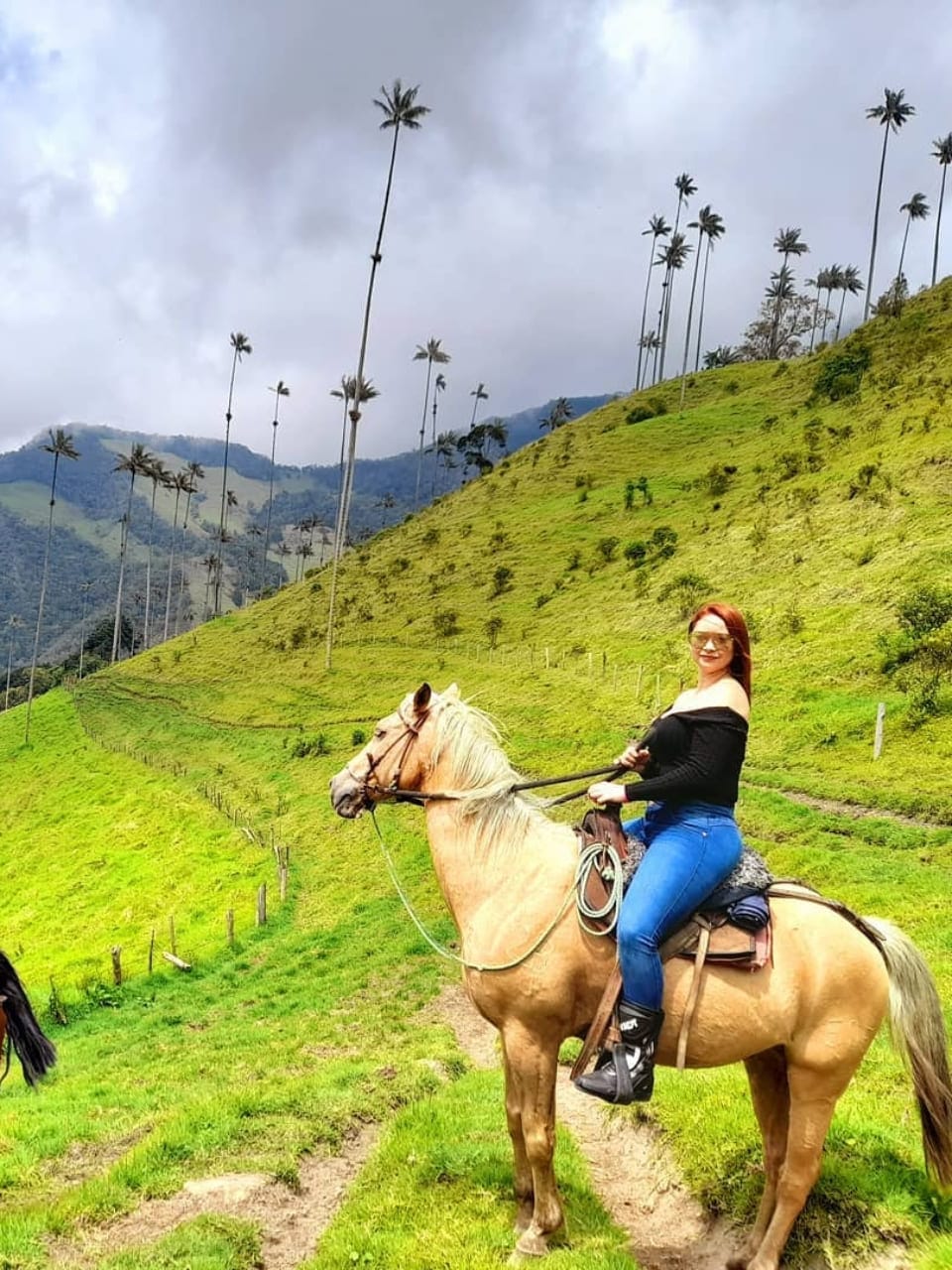 Cabalgata mixta 4 puntos Valle del Cocora