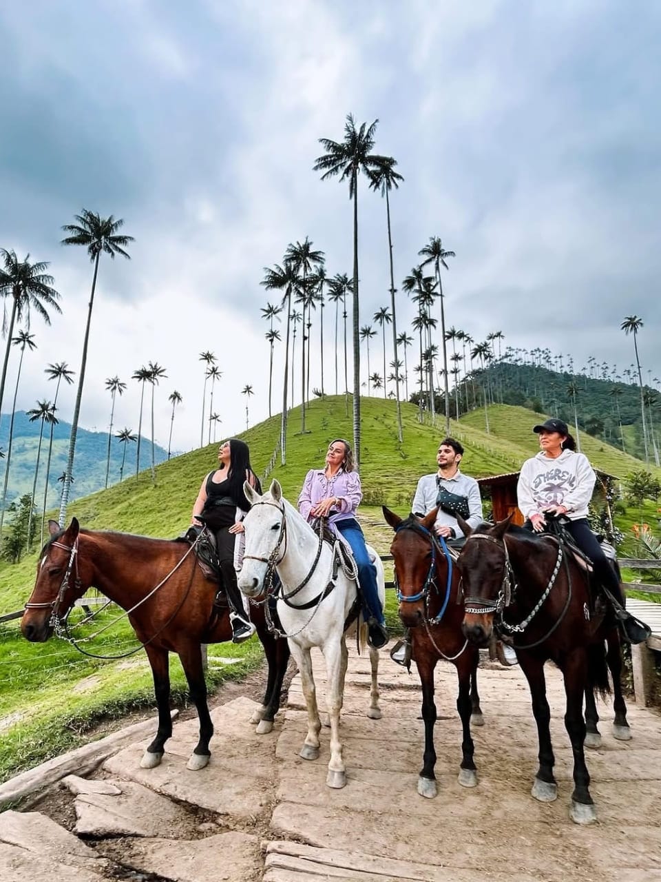 Cabalgata mixta 4 puntos Valle del Cocora