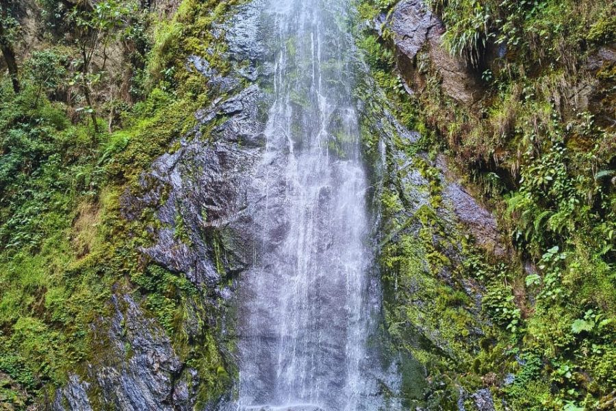 Excursión corta y gran cascada Valle del Cocora