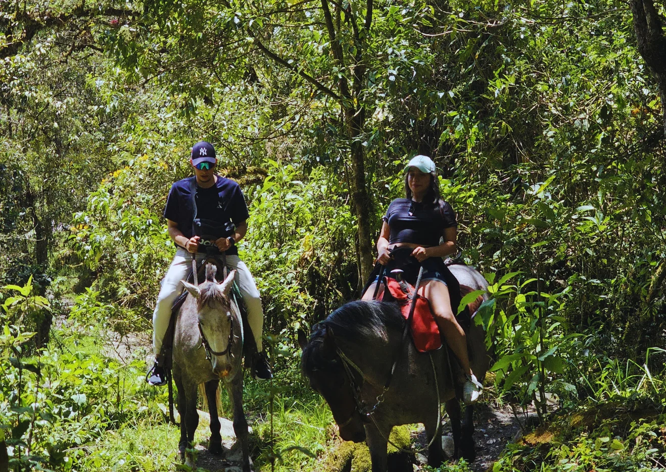 Cabalgata mixta 4 puntos Valle del Cocora