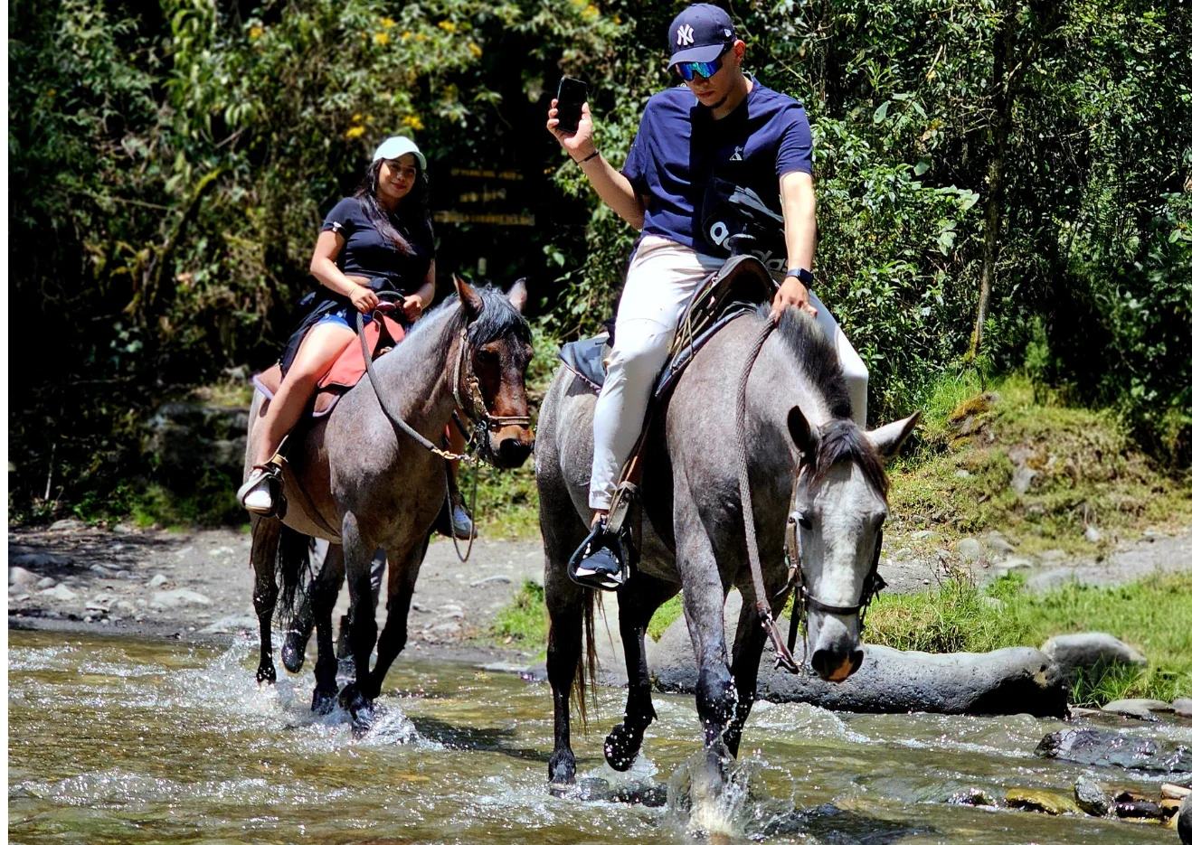 Cabalgata mixta 4 puntos Valle del Cocora