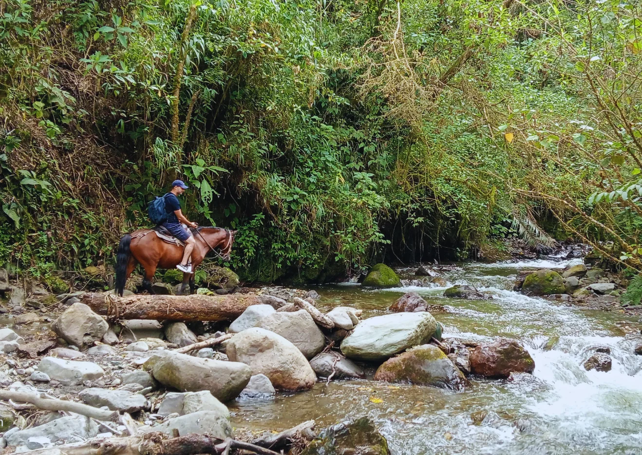 Cabalgata mixta 4 puntos Valle del Cocora