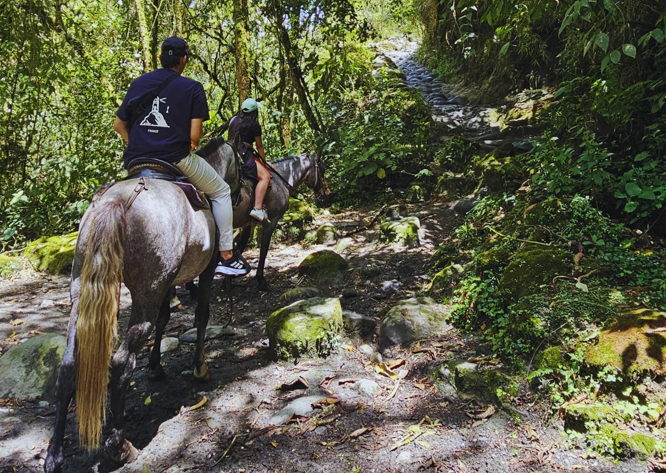 Cabalgata mixta 4 puntos Valle del Cocora