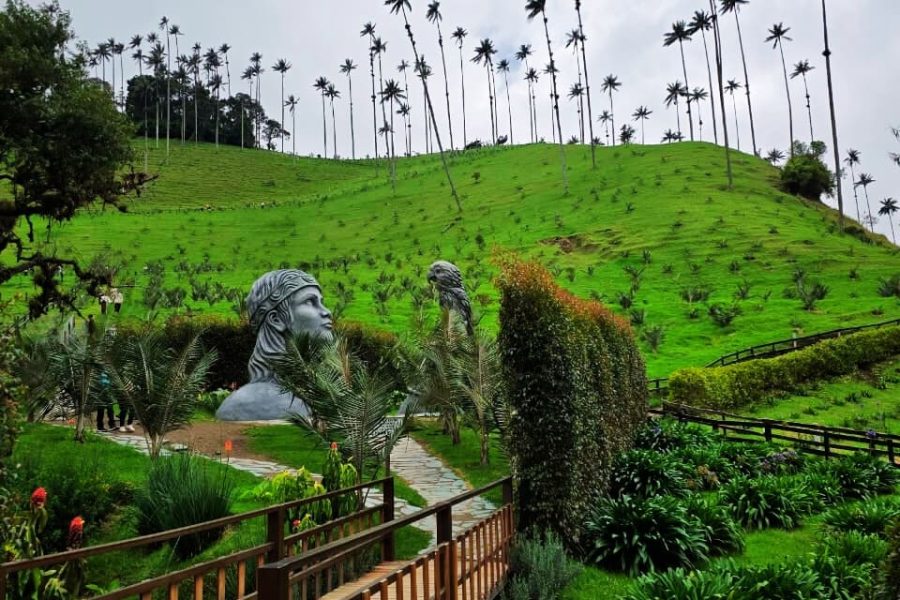 Valle del cocora producto agencias